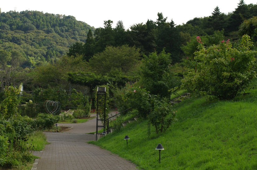 Mt. Airy Arboretum, United States